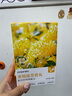 花香樟腦丸家用衣柜防蟲(chóng)防霉防蛀片劑驅蟲(chóng)章腦球衣物鞋柜衣服留香 【桂花香*48袋】 曬單實(shí)拍圖