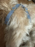 puppytie狗狗牽引繩背心式遛狗繩泰迪狗繩子調節(jié)牽引繩中小型犬胸背帶 牛仔藍-胸背 S-小型 建議8-16斤 曬單實拍圖
