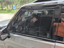 汽車防蚊蟲紗窗車用隔熱防曬汽車遮陽簾車窗防蚊網(wǎng)遮陽擋防隱私 全車 4片裝【升級(jí)雙層加密】 SUV通用 曬單實(shí)拍圖