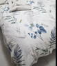 Harbor House【折扣特價(jià)】貢緞/萊賽爾/牛奶絨/純棉四件套床上用品被套床單 Giclee清新淡雅全棉磨毛 40支 1.5米床 床單款 （被套200*230cm） 曬單實(shí)拍圖