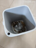 佳幫手茶水桶8.6L廢水濾茶桶茶渣茶葉泡茶水桶排水廚房干濕分離垃圾桶 曬單實(shí)拍圖