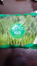 【嫩芽尖尖】菠菜苗（長(zhǎng)度≤20cm）400g 曬單實(shí)拍圖