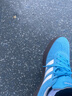 阿迪達(dá)斯 （adidas）NEO男鞋女鞋春季德訓(xùn)鞋VL court復(fù)古運動板鞋T頭休閑鞋 JI0496 JI0496 44.5 曬單實拍圖
