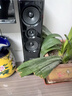 山水（SANSUI） 80B家用家庭環(huán)繞影院藍牙木質音響電視重低音炮2.1聲道K歌客廳唱歌多媒體臺式電腦音箱HIFI音質 80B新升級加高+2支無線麥 曬單實拍圖