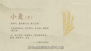 EINDKAD夏季女裝新款搭配一整套小個(gè)子套裝茶系穿搭顯瘦減齡闊腿褲兩件套 【單件】白色上衣【夏裝搭配一整 L 【套裝女2024新款/茶系穿搭一 曬單實(shí)拍圖