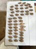 黑全麥餃子皮新鮮粗糧無(wú)鹽無(wú)蔗糖手工 黑全麥餃子皮三斤裝約200張 曬單實(shí)拍圖