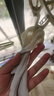 貝肽斯嬰兒襪子夏季薄款新生兒透氣網(wǎng)眼寶寶中筒襪男女兒童襪子 曬單實(shí)拍圖