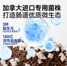 阿飛和巴弟貓糧E76益生菌全價凍干雙拼貓糧成貓幼貓糧全階段通用 2kg*3袋 曬單實拍圖