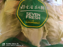 【高原夏菜】鐘靈山羅馬生菜400g 曬單實拍圖