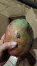 正宗凱特芒果 肉厚甜心芒熱帶當(dāng)季新鮮水果整箱 帶箱2斤單果300g+ 曬單實(shí)拍圖