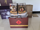 酒鬼（JIUGUI）紫壇貳拾 馥郁香型白酒 高度白酒  整箱裝 52度 500mL 6瓶 整箱裝 曬單實拍圖