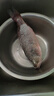 鮮活沖浪河鱸魚400-500g/條 曬單實拍圖