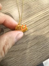 中國(guó)黃金（CHINA GOLD）黃金項(xiàng)鏈女士足金莫比烏斯環(huán)吊墜套鏈七夕情人節(jié)禮物送女朋友老婆 【送女友】精工項(xiàng)鏈約5.3g重版【情人節(jié)禮盒】 曬單實(shí)拍圖