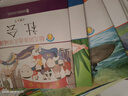 幼兒園滲透式領(lǐng)域課程小班中班大班教材下冊上冊幼兒園語(yǔ)言數學(xué)全6冊數學(xué)操作卡片五大領(lǐng)域 南京師范大學(xué) 【小班下冊】學(xué)生用書(shū)全6冊 曬單實(shí)拍圖