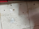 北京同城上門除蟑螂 同城滅蟑螂 同城殺蟑螂 極速上門孕嬰無憂包年服務(wù)安全可靠極速上門365天免費(fèi)維護(hù) 專業(yè)除蟑螂60平米內(nèi) 曬單實(shí)拍圖