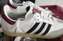 阿迪達(dá)斯 （adidas）三葉草休閑鞋男鞋女鞋春季新款SAMBA蛇年新年款CNY經(jīng)典T頭鞋 JQ5976 42.5 曬單實(shí)拍圖