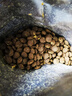 頑皮 【歐陽娜娜試用專屬福利】小金盾100%鮮肉全價貓糧100g雞肉配方 曬單實拍圖