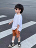 MOKITOUL童裝男童短褲2025夏季新款兒童褲子中大童五分褲女童 咖咖橙（高端禮盒包裝） 100 cm 曬單實(shí)拍圖
