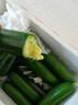 京鮮生 山東荷蘭水果黃瓜凈重5斤 單果100g+ 健康輕食早餐 源頭直發(fā) 曬單實(shí)拍圖