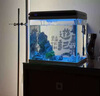 魚缸除藻劑去苔劑青苔綠藻褐藻絲藻黑藻清除劑凈化魚缸不傷魚神器 小瓶裝【魚缸除藻不傷魚】120ml 曬單實(shí)拍圖