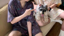 NEIWAI內(nèi)外橙標迪士尼瘋狂動物城合作情侶印花睡衣家居服套裝夏季涼感 多元米白 M 曬單實拍圖