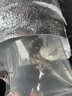 魚苗批發(fā)中科五號黃金鯽魚鯽魚苗工程湘云鯽土鯽淡水養(yǎng)殖食用活體 黃金鯽魚苗3-5厘米20條送10%防損 曬單實拍圖