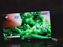 長虹電視55D55F-G1 55英寸4K超高清 2+32GB 智慧巨幕大屏 LED液晶平板電視機(jī) 以舊換新國家補(bǔ)貼20% 曬單實(shí)拍圖
