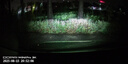 盯盯拍行車記錄儀MINIPro 3K超清夜視 WDR寬動(dòng)態(tài)F1.55光圈 斷電不丟失 曬單實(shí)拍圖