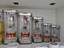 五糧液 普五八代 52度 濃香型白酒 375ml*1 單瓶裝 曬單實拍圖