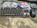 羅技（Logitech）G502 游戲鼠標(biāo) 電競(jìng)有線鼠標(biāo) K835有線游戲鍵盤(pán)TTC軸體 游戲電競(jìng)筆記本電腦多媒體辦公吃雞鍵盤(pán) K835青軸+藍(lán)白鍵帽+G502+藍(lán)白貼紙+鼠標(biāo)墊 曬單實(shí)拍圖