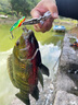 lurefans路亞發(fā)燒友大河奔流響尾蛇實(shí)戰(zhàn)套裝VIB翹嘴鱸魚路亞餌5只裝 R40-7.5g-06號(hào)色-5只實(shí)戰(zhàn)裝 曬單實(shí)拍圖
