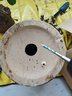 拜杰蛋卷機雞蛋卷鍋模具烘焙工具脆皮烤盤雙面煎盤做餅干雞蛋卷烙餅機 曬單實拍圖