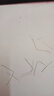 美科（MYTEC）豬鬃刷文玩刷子核桃刷鬃毛硬毛手工萬毛刷金剛菩提橄欖核手串刷子 小號豬鬃毛刷【黑色】 曬單實(shí)拍圖
