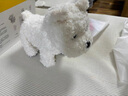 babycare西高地毛絨電動(dòng)玩偶安撫玩具電子寵物送女生七夕情人節(jié)禮物口令狗 【萬人購(gòu)買】西高地+魅力貝雷套裝 曬單實(shí)拍圖
