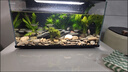 小米（MI）魚(yú)缸二代造景裝飾套餐溪流缸南美風(fēng)全套造景石底砂創(chuàng  )意小生態(tài) 【疊嶂】南美三湖石造景 曬單實(shí)拍圖