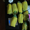 南步桂七芒果【順豐速發(fā)】廣西百色田東大青皮芒貴七香芒新鮮水果禮盒 5斤特大果【單果5兩+】普通快遞 曬單實(shí)拍圖