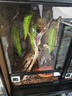 REPTIZOO陸龜飼養箱爬寵缸鬃獅變色龍蜥蜴守宮玻璃爬缸爬蟲(chóng)箱【RK飼養缸】 40x30x35CM 【RK0103NS】 曬單實(shí)拍圖