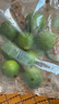 都樂Dole 塔西提無籽檸檬 8-12粒 單果40g+ 清香多汁 源頭直發(fā)包郵 曬單實拍圖