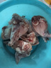 兔腿 兔腿肉兔子腿冷凍兔后腿肉兔前腿肉生鮮食材包郵 原切兔后腿（約2個）1斤/袋*4袋 曬單實拍圖