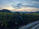 喜德盛（xds）公路自行車(chē)RC618鋁合金車(chē)架SORA/TIAGRA變速桶軸輪組 黑/深灰（SORA變速） 700*450（身高155-165cm） 曬單實(shí)拍圖