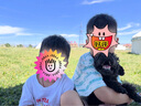 愛悠若特【老唐育兒】箐淳幼兒配方綿羊奶粉3段三段A2低敏12-36個月800g 6罐【贈便攜裝100g*6罐】 3段 曬單實拍圖