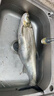 致尊坊進口火線釣魚線主線正品防纏繞大力馬子線超細單股防咬飛磕pe子線 50米單股火線【白色】 1.2號 曬單實拍圖