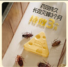 拜滅士拜耳滅殺除蟑螂藥誘餌盒餌劑膠餌屋家用廚房小強(qiáng)滅殺 奶酪版殺蟑餌盒6枚 曬單實(shí)拍圖