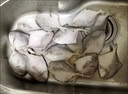 賣魚七郎 冷凍鮮活小銀鯧魚凈重1.7斤 10-12條深海魚生鮮魚類海鮮水產(chǎn) 曬單實(shí)拍圖