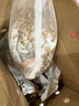 KERRY面包蟲活體飼料黃粉蟲鳥魚龜蜥蜴金龍魚鬃獅蝎子守宮食物幼體幼蟲 面包蟲1斤（無贈送） 曬單實(shí)拍圖