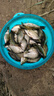 明孚陰天尾浮漂輕口鯽魚(yú)漂加粗超醒目靈敏度高浮標(biāo)抗風(fēng)浪納米行程漂 C11（陰天尾) 2號(hào)一支 曬單實(shí)拍圖