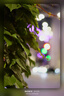 永諾（YONGNUO）YN 50mm F1.8S 自動(dòng)標(biāo)準(zhǔn) 大光圈 人像 定焦鏡頭（索尼E卡口） 曬單實(shí)拍圖