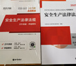 25新版中級注冊安全工程師2025年教材注安師考試用書建筑化工其他歷年真題模擬試卷視頻題庫全套 25新版【教材+真題】贈視頻題庫 其他+法規(guī)+管理+技術(shù) 曬單實拍圖