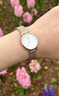 丹尼爾惠靈頓（DanielWellington）DW手表女 簡(jiǎn)約歐美表鋼帶石英女士手表節(jié)日禮物送女友DW00100219 曬單實(shí)拍圖