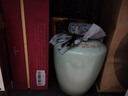 中潤(rùn)瓷景德鎮(zhèn)陶瓷酒壇5斤10斤裝泡酒缸酒罐酒壺密封窖藏空酒瓶酒壇子 5斤楊梅壇果綠色 曬單實(shí)拍圖